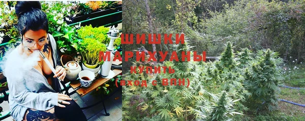 альфа пвп Бородино