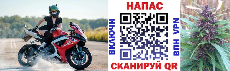 shop клад  цены наркотик  Пенза  Каннабис Amnesia 